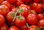 12-05-06-01-red-greenhouse-tomatoes-whole-foods-reston-va-usa.jpg